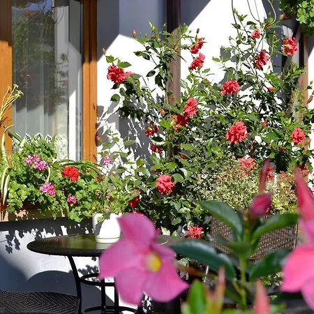 Homestay Do Wynajecia U Lusi