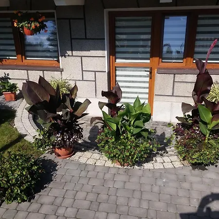 Homestay Do Wynajecia U Lusi *