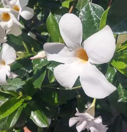 Do Wynajecia U Lusi Séjour chez l'habitant