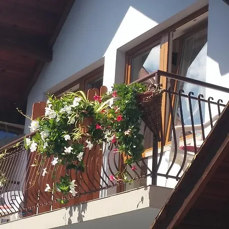 Do Wynajecia U Lusi *