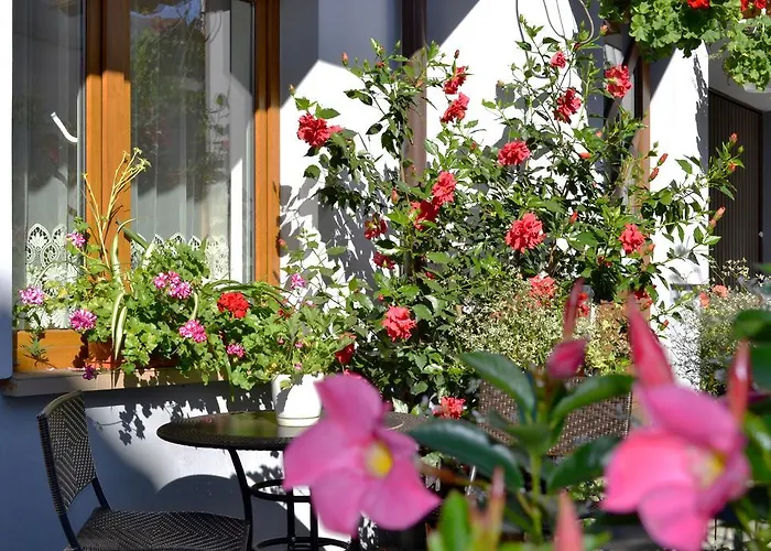 Privat bolig Do Wynajecia U Lusi